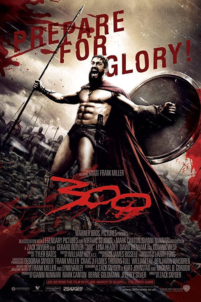 Cover for 300