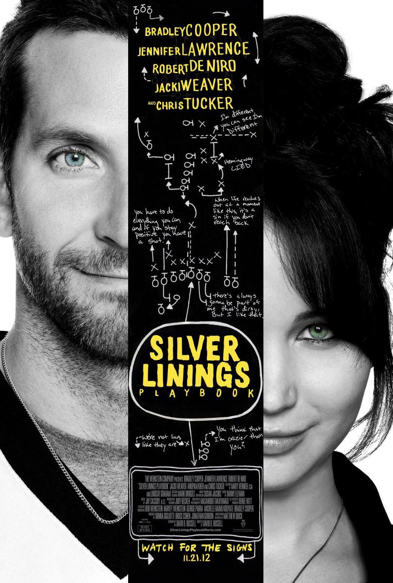 Cover for Silver Linings Playbook