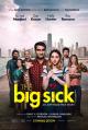 Cover for The Big Sick