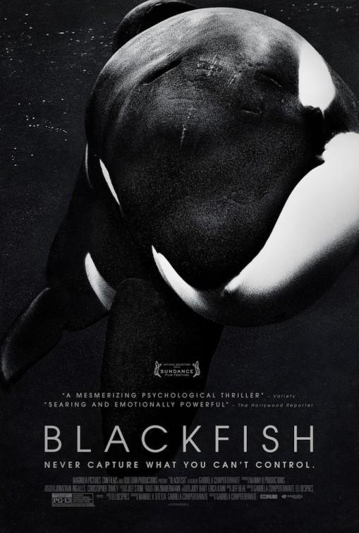Cover for Blackfish